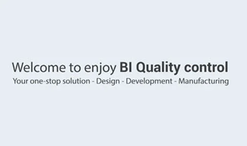 BI Quality Control