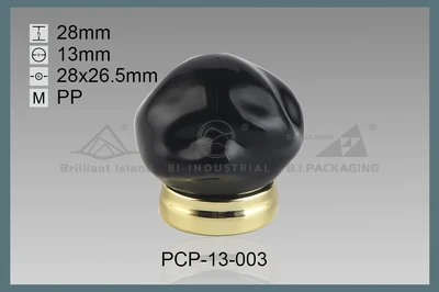 PCP-13-003