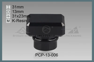 PCP-13-006